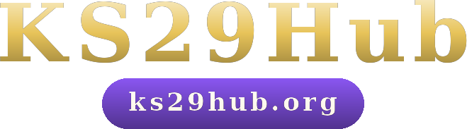 KS29Hub logo
